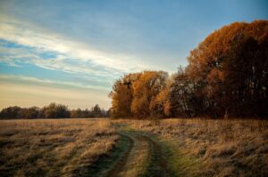 Read more about the article Służebność gruntowa w świetle art. 285 Kodeksu cywilnego