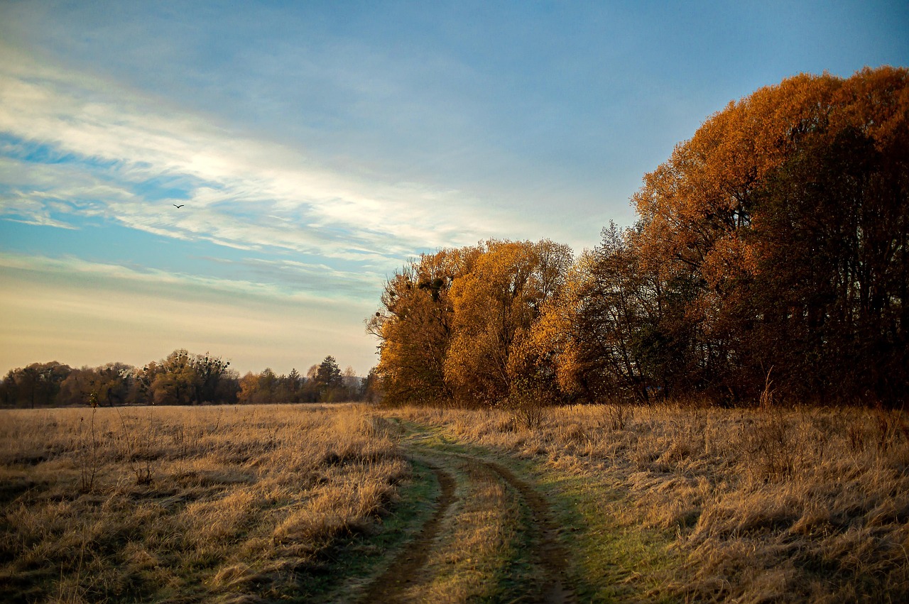 You are currently viewing Służebność gruntowa w świetle art. 285 Kodeksu cywilnego